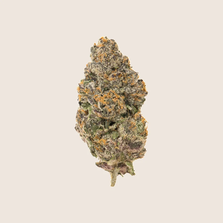 Flower at Denver Kush Club
