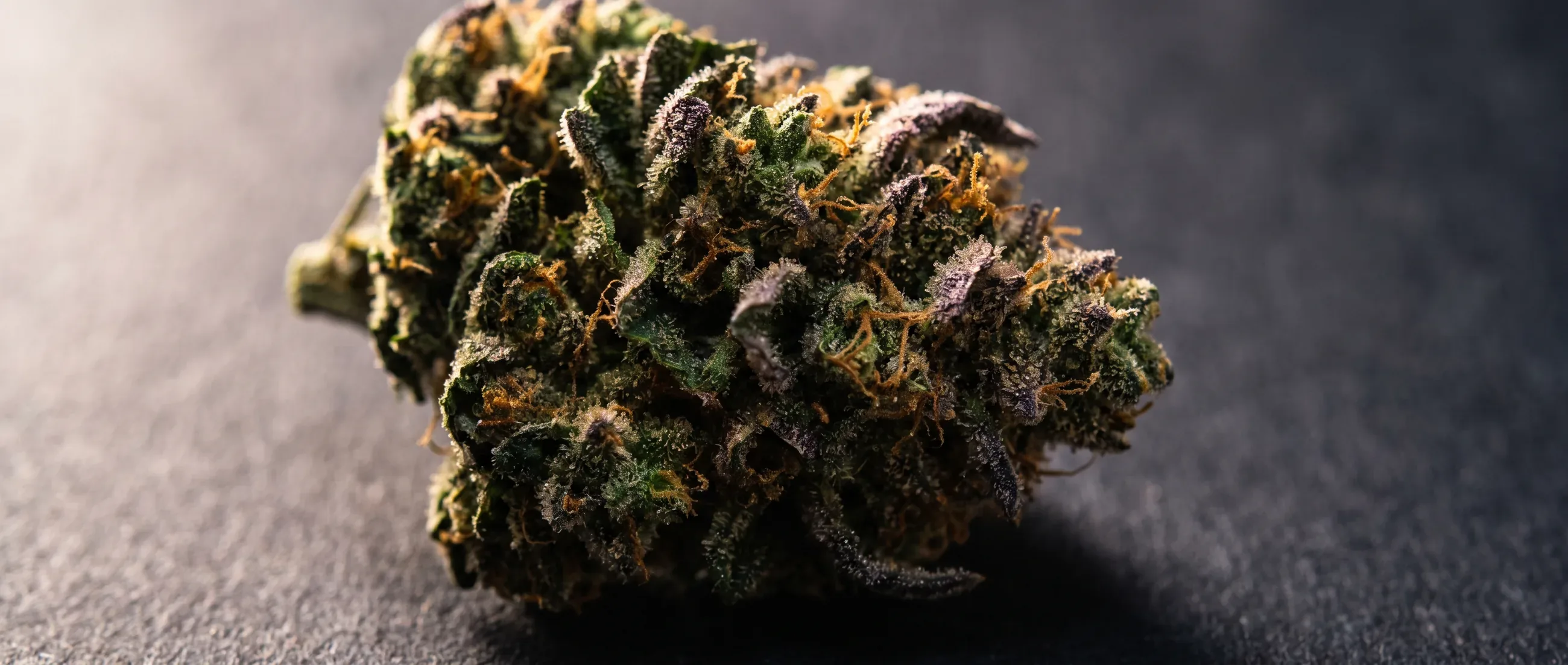 Macro photograph of a premium cannabis bud with amber trichomes against a dark background.
